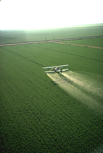 utilizzo di pesticidi in California