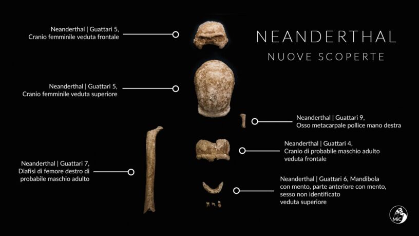 Neanderthal-ossa